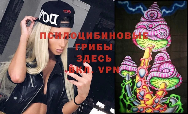 героин Богданович