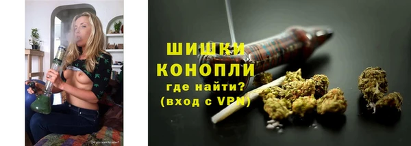 таблы Богородицк