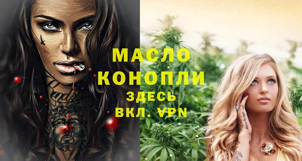 гашик Богородск