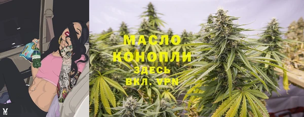 гашик Богородск